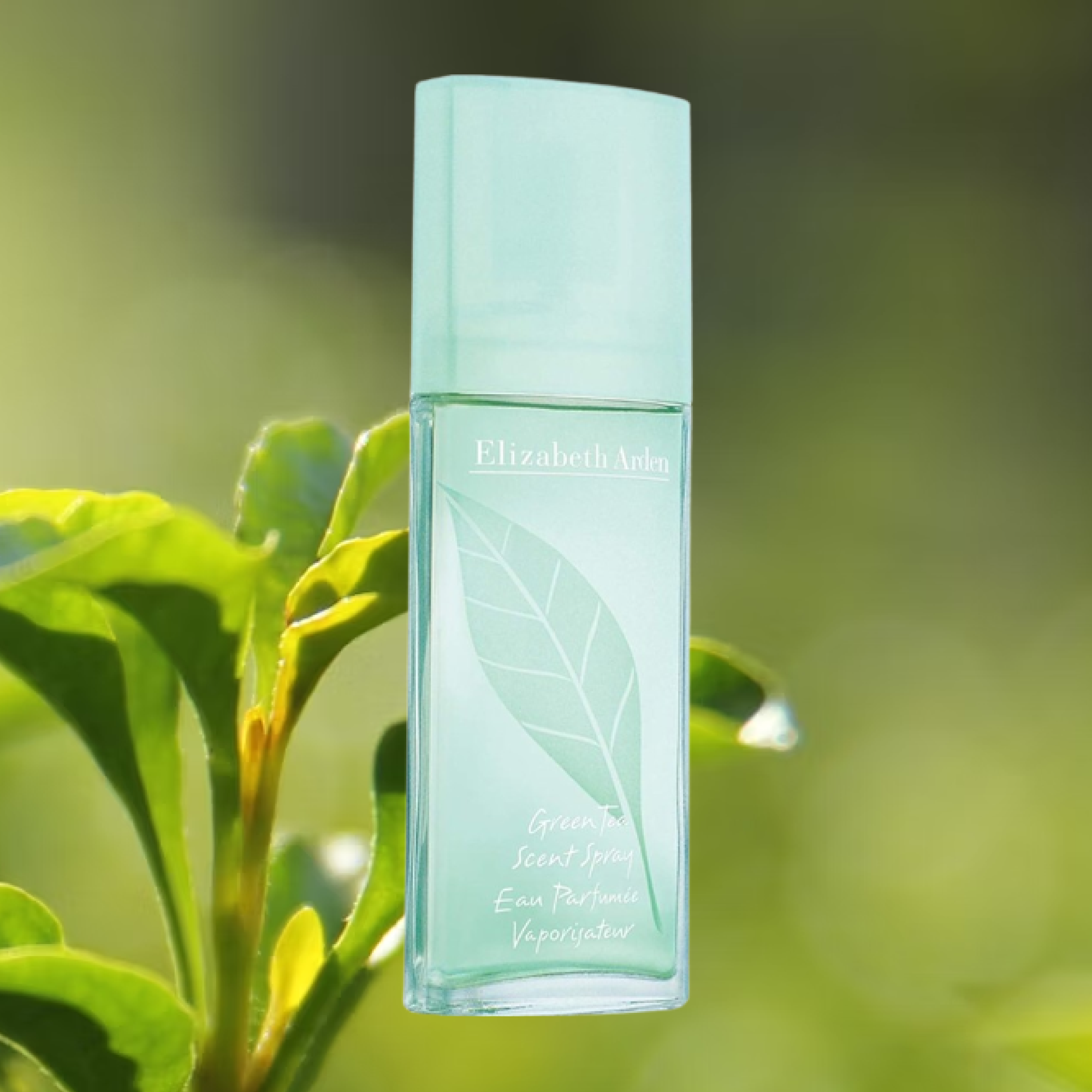 Elizabeth Arden（エリザベスアーデン）