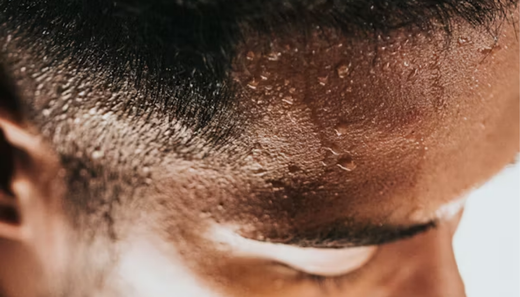 脂性肌(オイリー肌)におすすめ